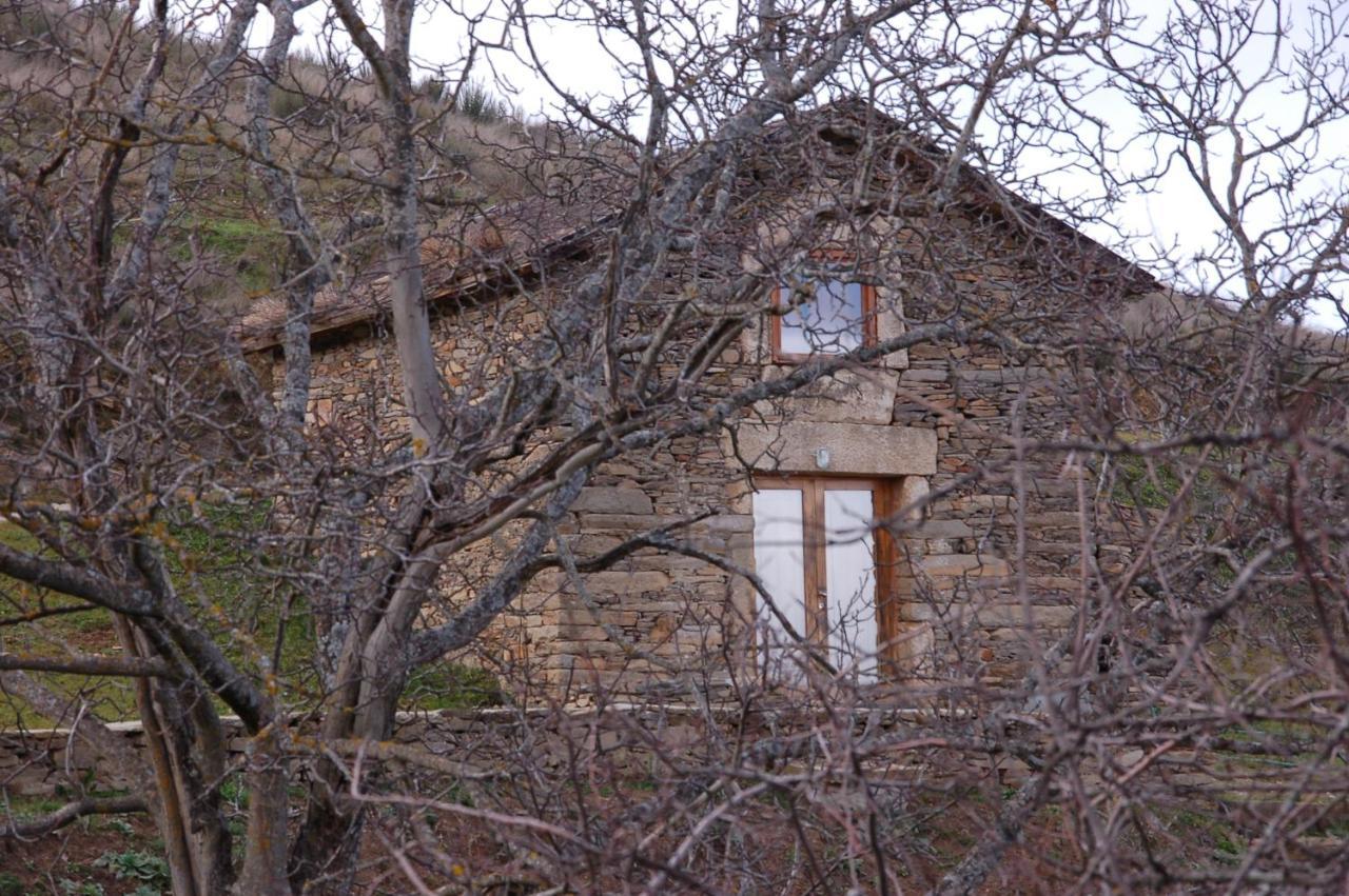 Quinta Da Alagoa Villa Santa Maria de Émeres Екстериор снимка