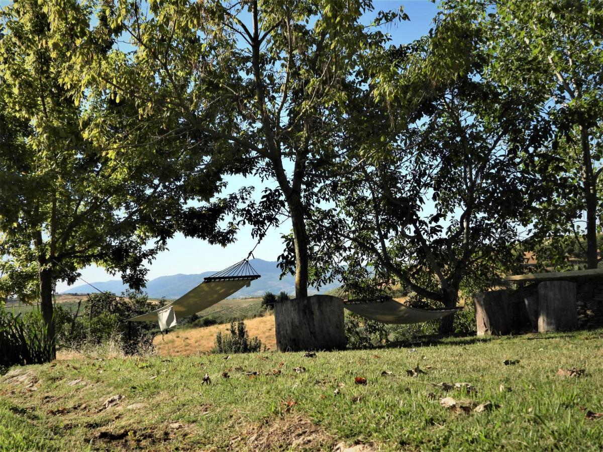 Quinta Da Alagoa Villa Santa Maria de Émeres Екстериор снимка