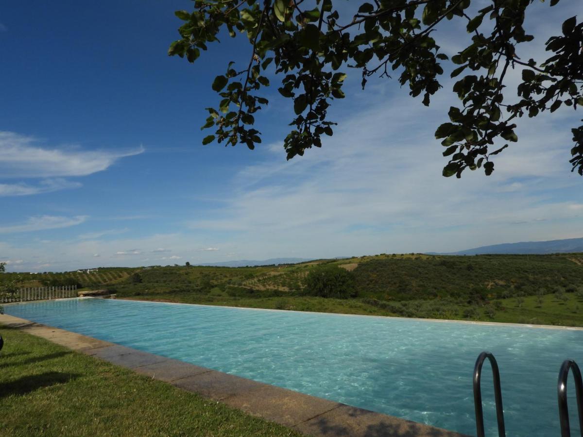 Quinta Da Alagoa Villa Santa Maria de Émeres Екстериор снимка
