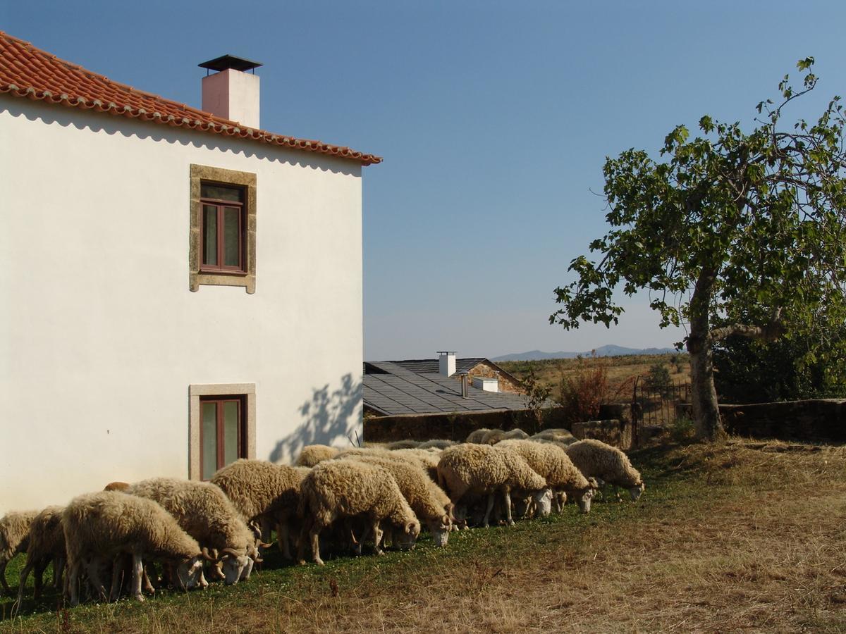 Quinta Da Alagoa Villa Santa Maria de Émeres Екстериор снимка