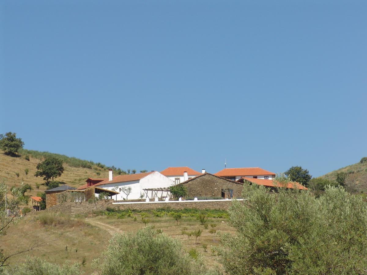 Quinta Da Alagoa Villa Santa Maria de Émeres Екстериор снимка