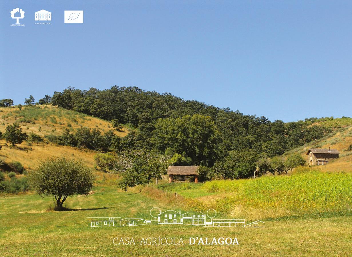 Quinta Da Alagoa Villa Santa Maria de Émeres Екстериор снимка