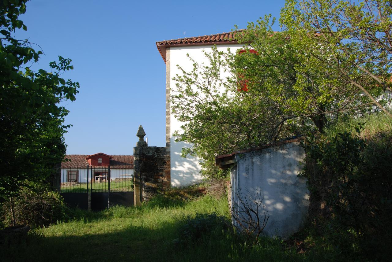 Quinta Da Alagoa Villa Santa Maria de Émeres Екстериор снимка