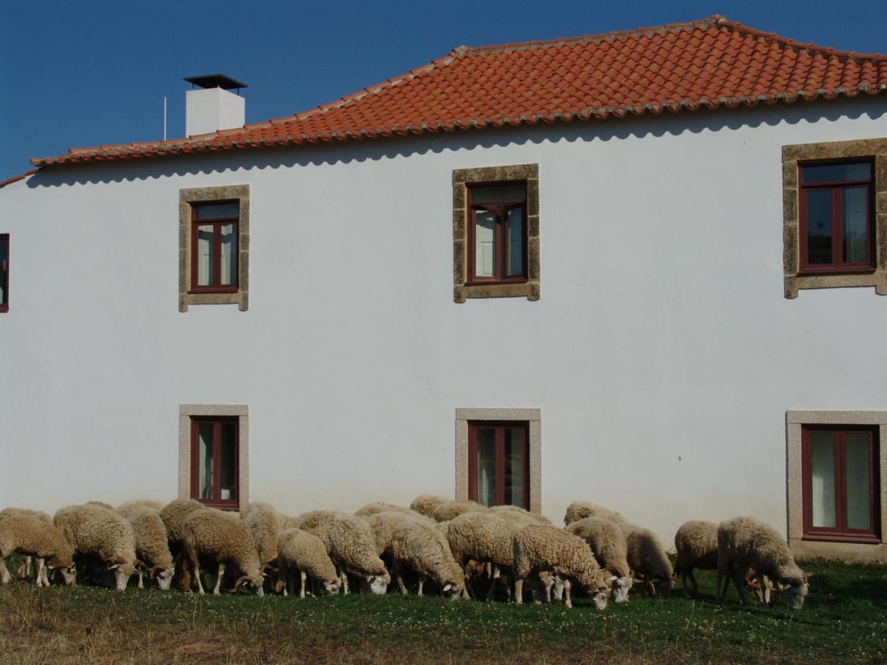 Quinta Da Alagoa Villa Santa Maria de Émeres Екстериор снимка